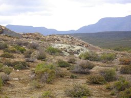 Calciferous ridge