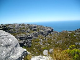 On top of Table Mountain
