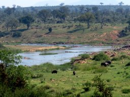 Near or in fresh water