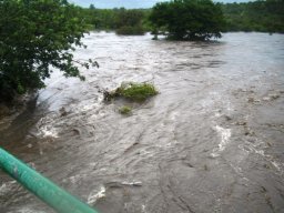 Lowveld flood