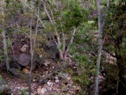 Damhoek dry watercourse 