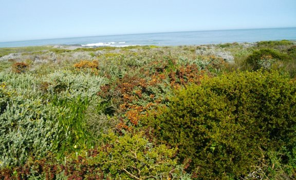 West coast view at Grotto Bay