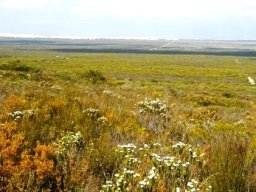 De Hoop Nature Reserve