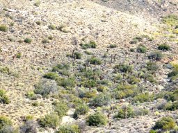 Dry river bed