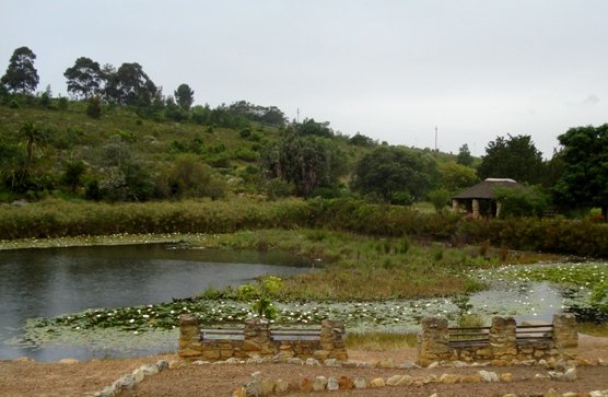 Caledon Wildflower Garden pond