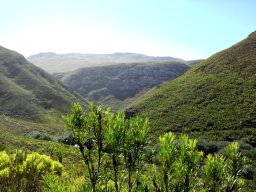 HABITAT