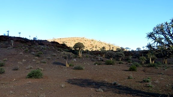 In the distance