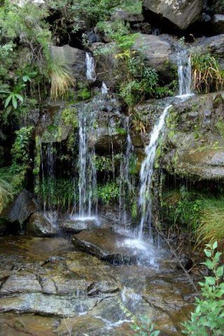 A Drakensberg stream