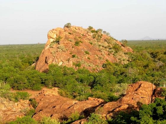 Bakenkop