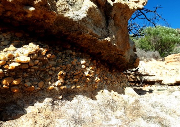 Conglomerate